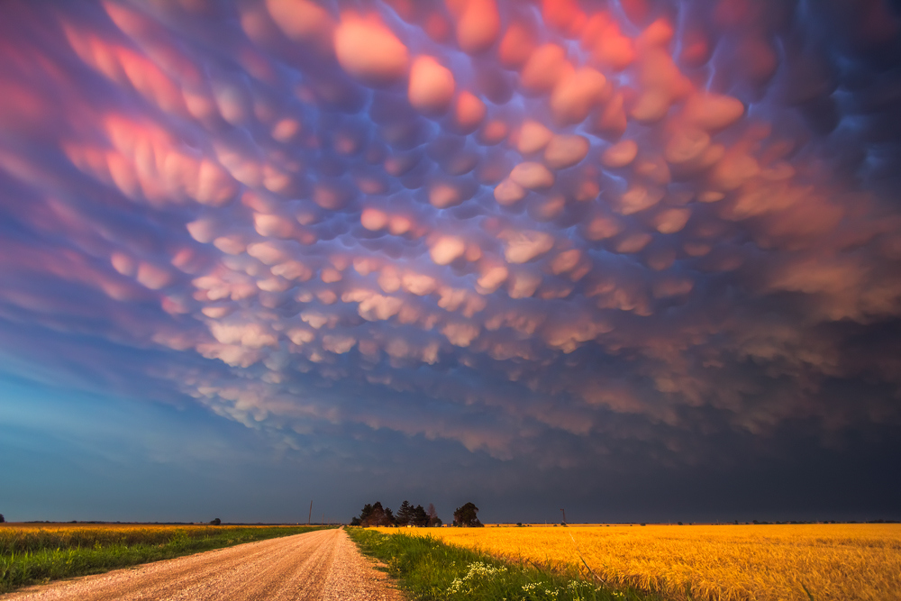 Mammatus Clouds