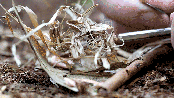 7d28bfcf74084123082dd44345c32ec0_original