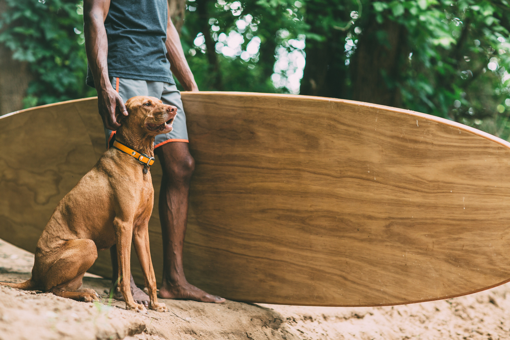 Wod+SUP+with+dog